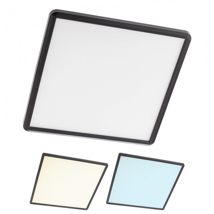 Plafoniera MEMO, negru mat, LED CCT, 24W, 2700 lumeni, 3000K-4000K-6500K, L. 30 cm, IP54, Smarter 05-937