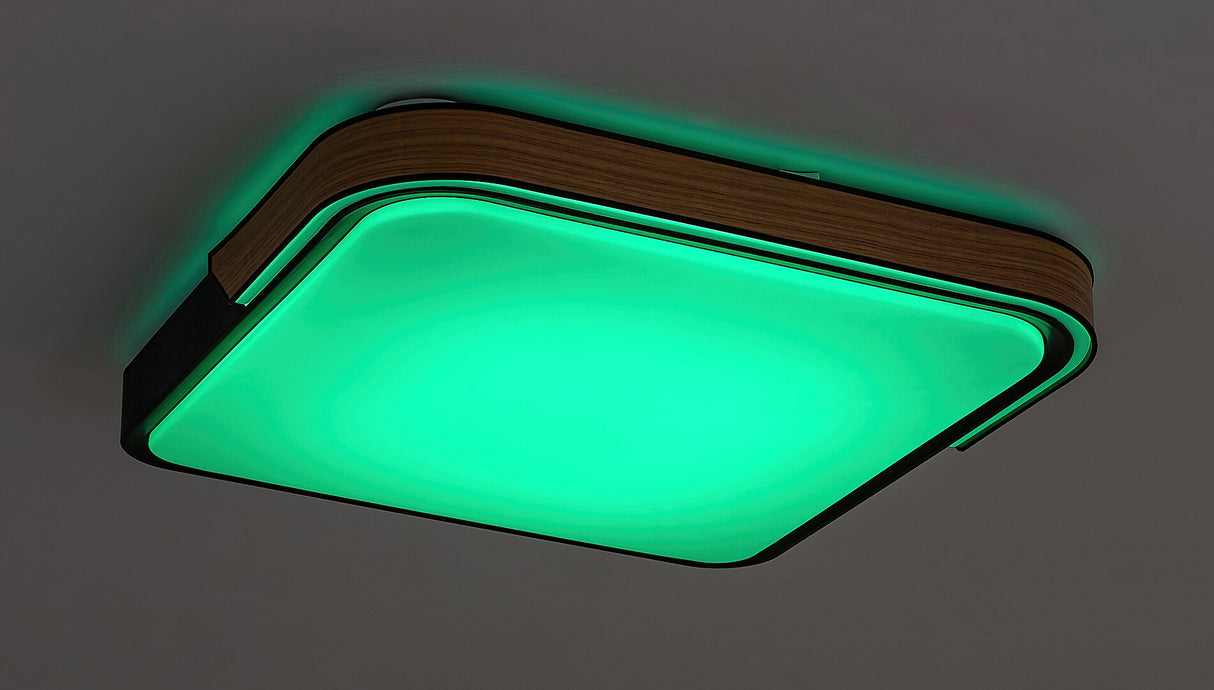 Plafoniera LED Arild, negru, 48W, 1850lm, 3000K/4000K/6000K, telecomanda, RGB, WIFI, BLUETOOTH, IP20, Rabalux, 71146