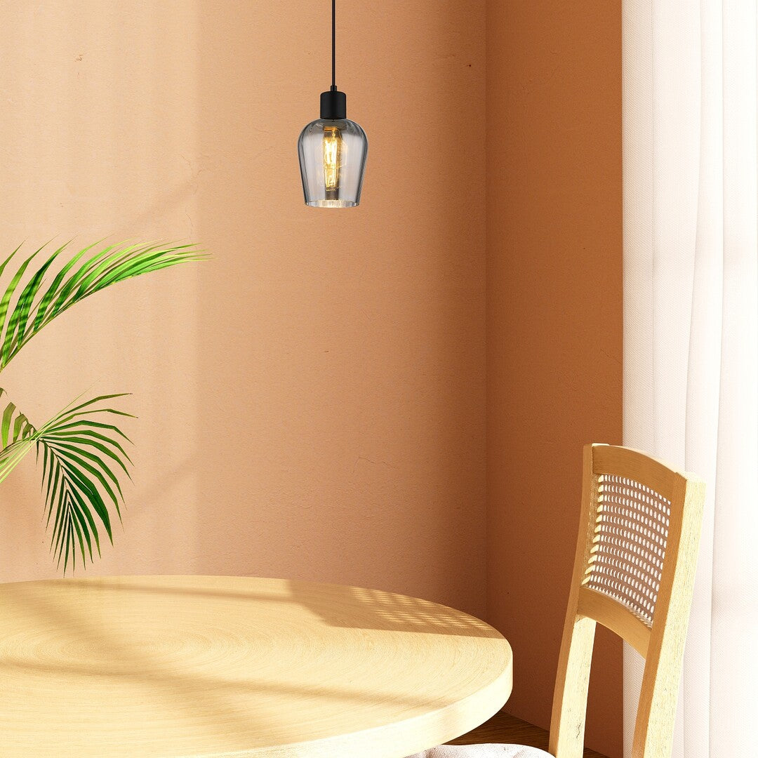 Lustra suspendata Florian, negru/sticla fumurie, 1xE27, D.13cm, IP20, Rabalux, 72270