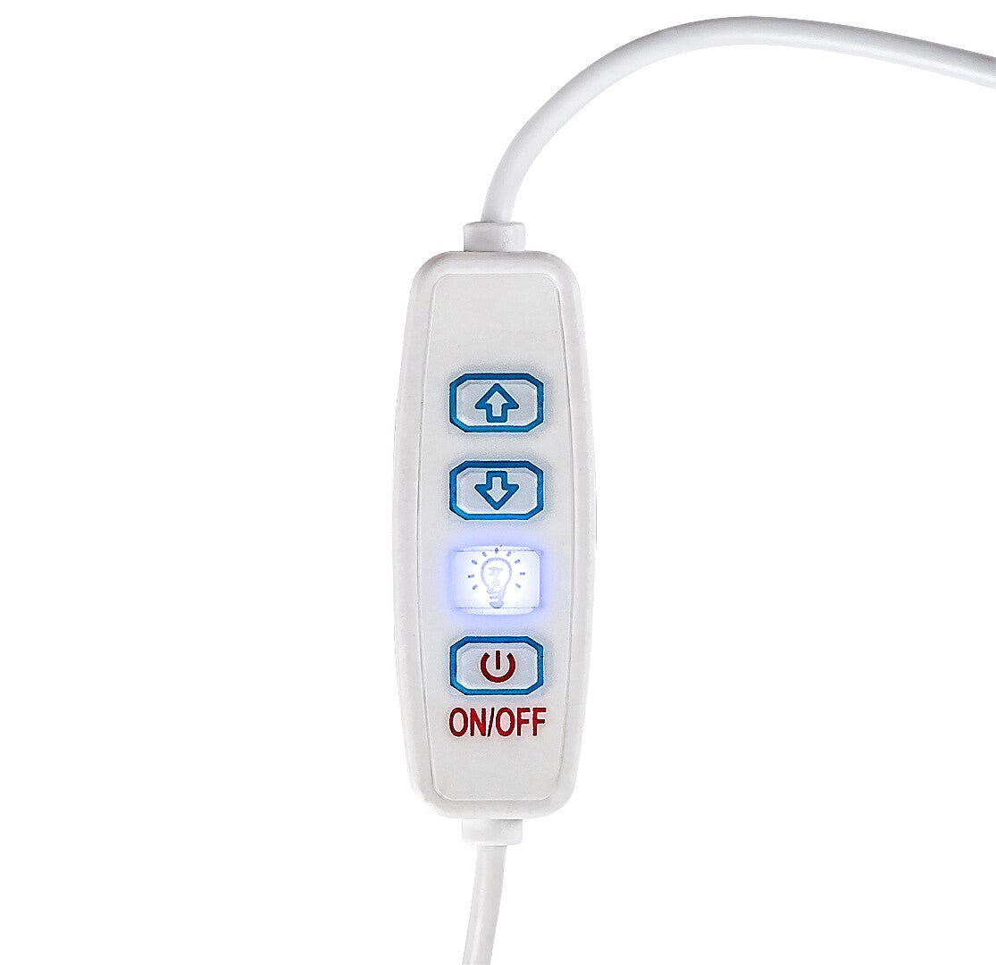 Veioza Pirit, fag, 40lm, LED 1,2W, 3000K, Rabalux 76003