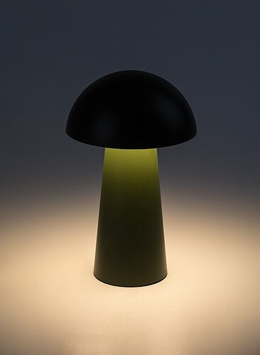 Veioza LED exterior Mireo, verde, 1.5W, 50lm, 3000K, H.20cm, IP44, Rabalux, 76038