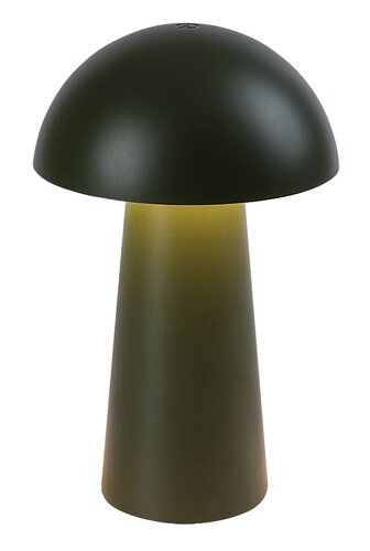 Veioza LED exterior Mireo, verde, 1.5W, 50lm, 3000K, H.20cm, IP44, Rabalux, 76038