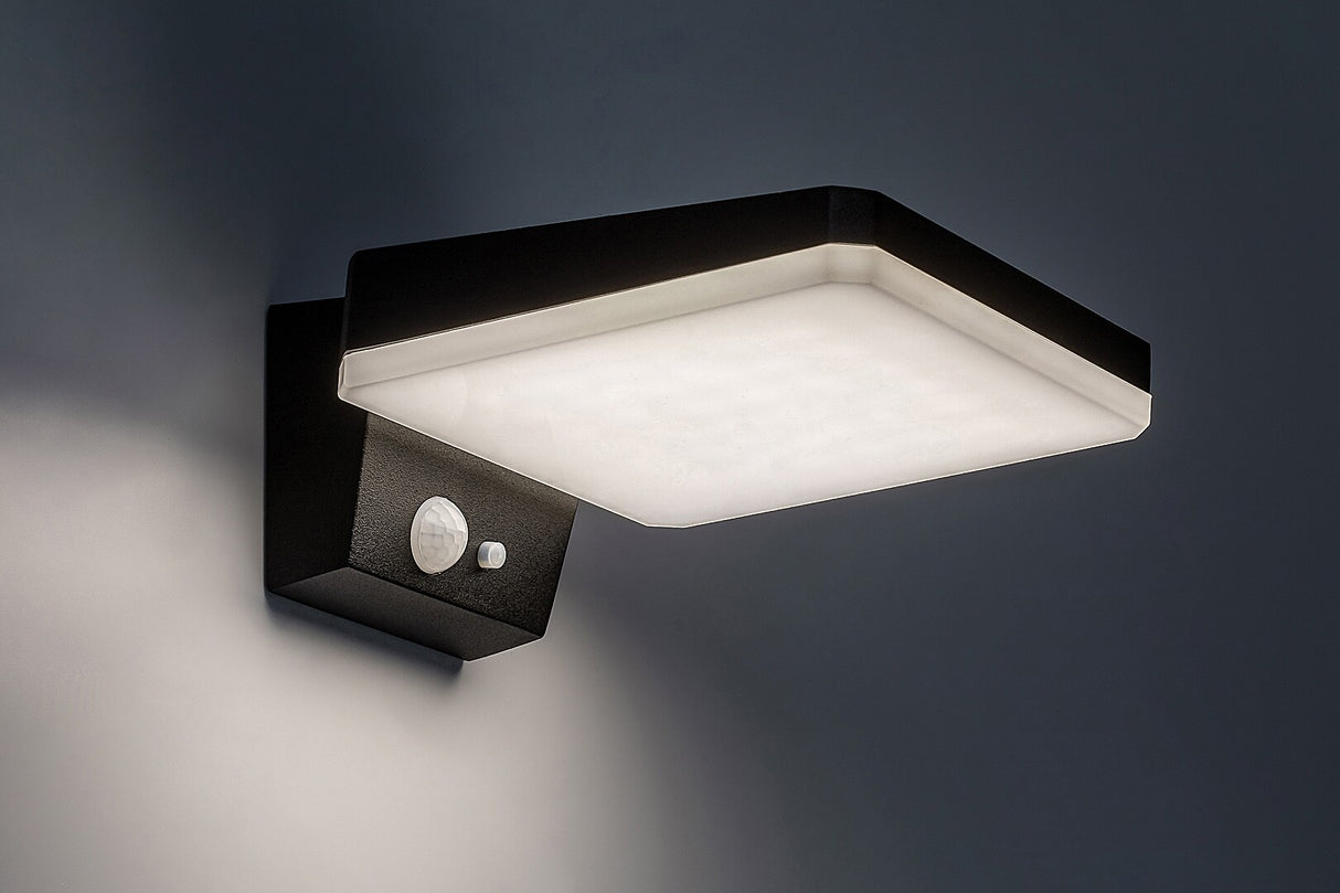 Aplica LED exterior solara Lasset, negru, 4.4W, IP54, Rabalux, 77078
