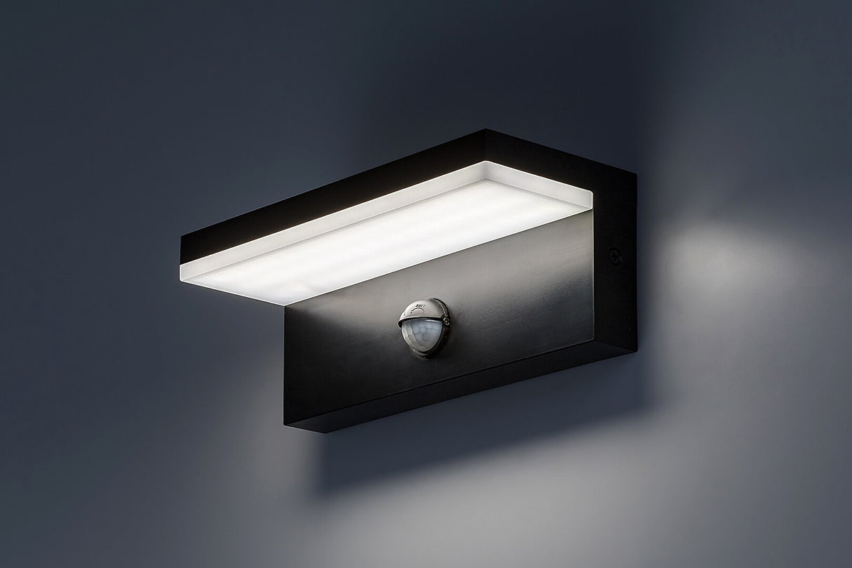 Aplica LED exterior Zaragoza, negru, 9W, 800lm, 2700K, 4000K, 6500K, IP54, Rabalux, 77115