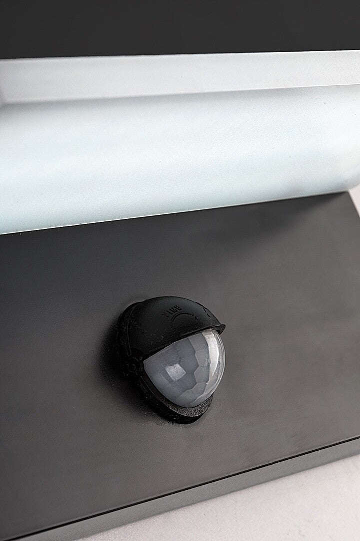 Aplica LED exterior Zaragoza, negru, 9W, 800lm, 2700K, 4000K, 6500K, IP54, Rabalux, 77115