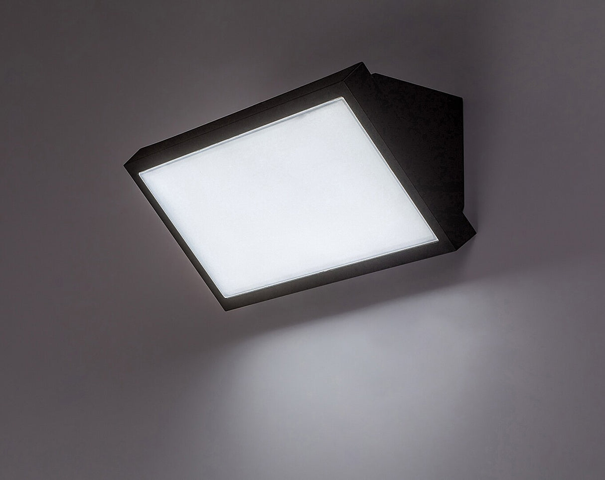 Aplica LED exterior Rapla2, negru, 18W, 1700lm, 2700K, 4000K, 6500K, IP65, Rabalux, 77150