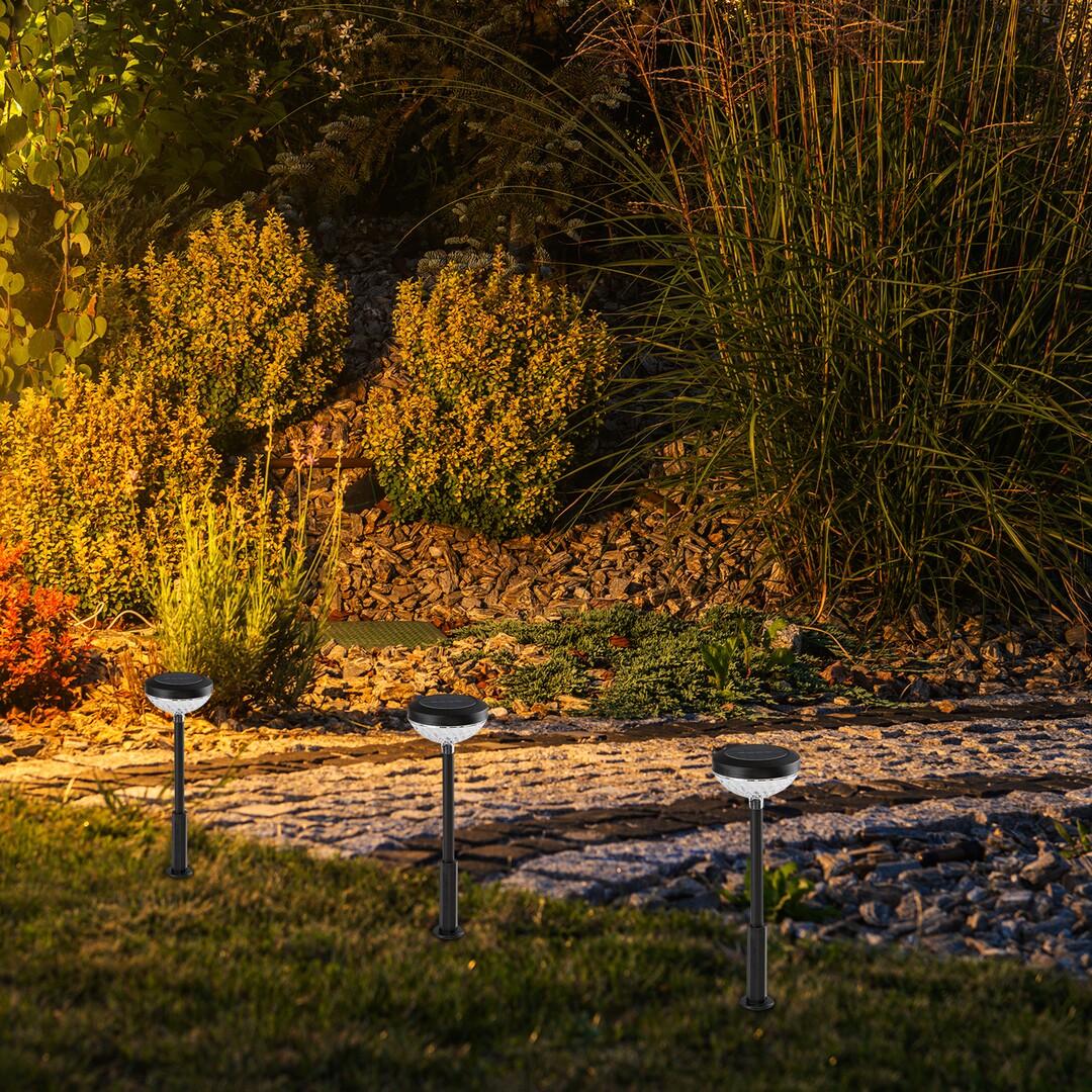 Lampa LED exterior solara Monor, negru, 0,1W, IP44, Rabalux, 77177