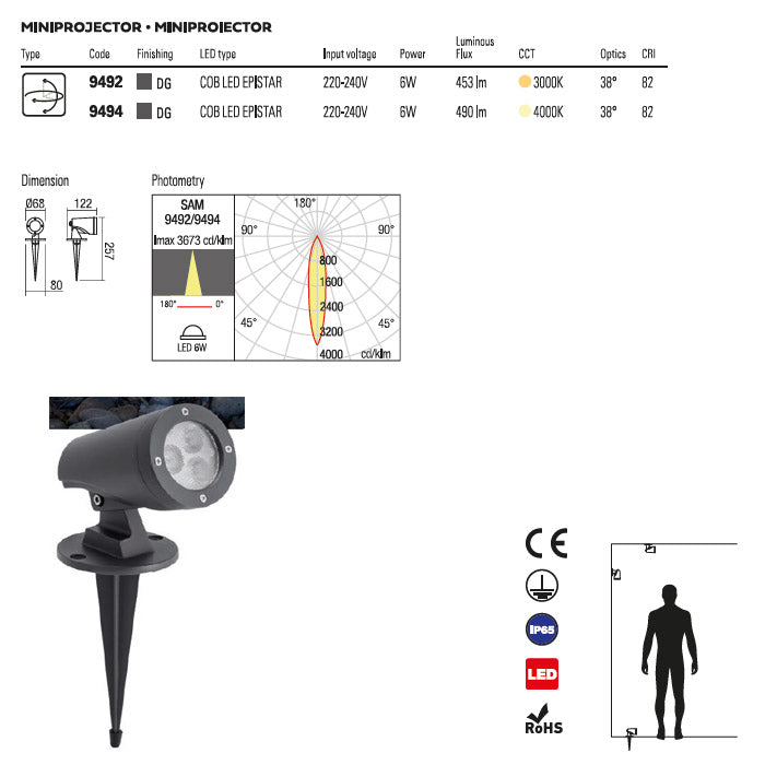 Miniproiector LED exterior Sam, gri inchis, 6W, 490 lm,4000K, IP65, Redo, 9494