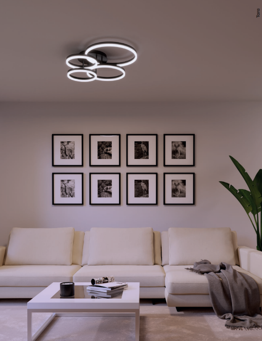 Plafoniera LED Tara, alb/negru mat, 70W, 4199lm, 3000K/4000K/6000k, D.50cm, IP20, Smarter, 01-3992