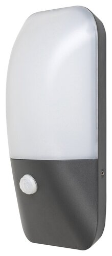 Aplica LED exterior Ecuador, antracit, 10W, 800lm, 4000K, IP54, Rabalux, 7997