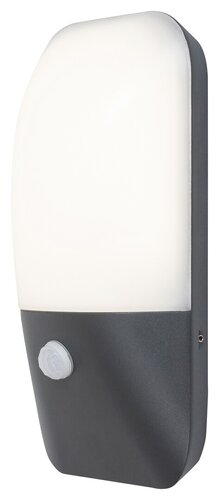 Aplica LED exterior Ecuador, antracit, 10W, 800lm, 4000K, IP54, Rabalux, 7997