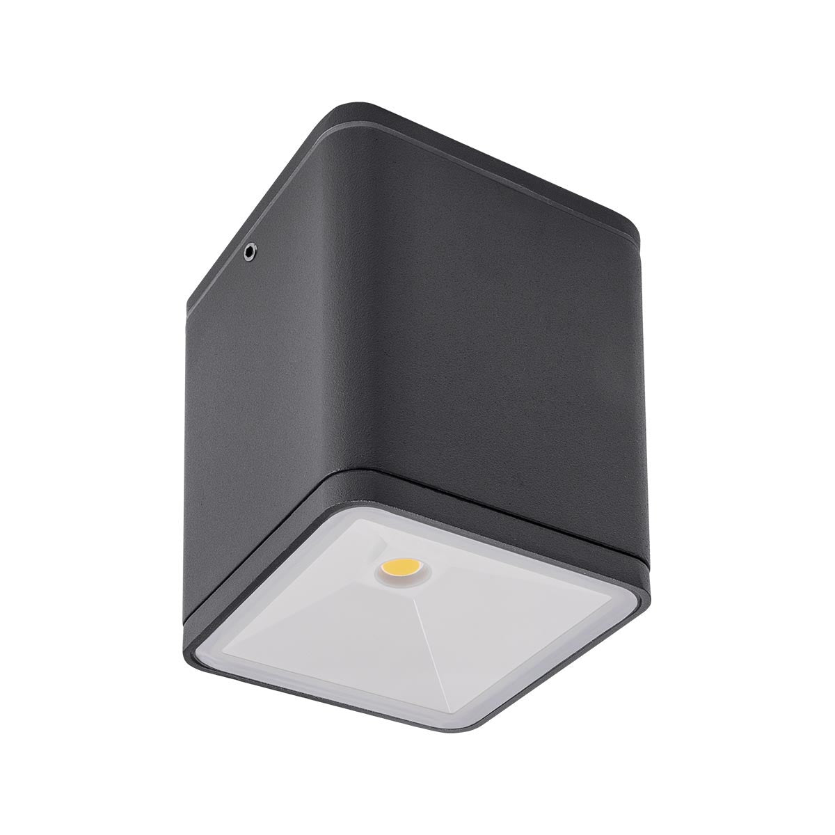 Plafoniera exterior LED Beta, gri, 6W, 660lm, 3000K, IP54, Redo, 9198