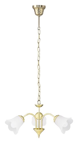 Lustra suspendata Rafaella, auriu, 3xE14, IP20, Rabalux, 7233