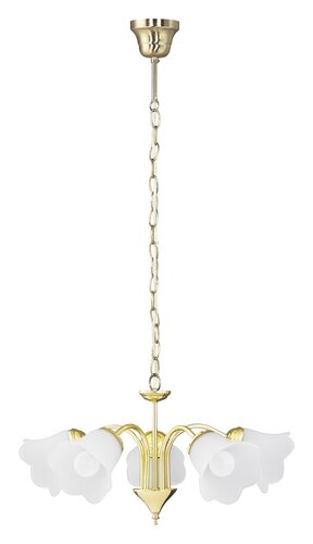 Lustra suspendata Rafaella, auriu, 5xE14, IP20, Rabalux, 7235