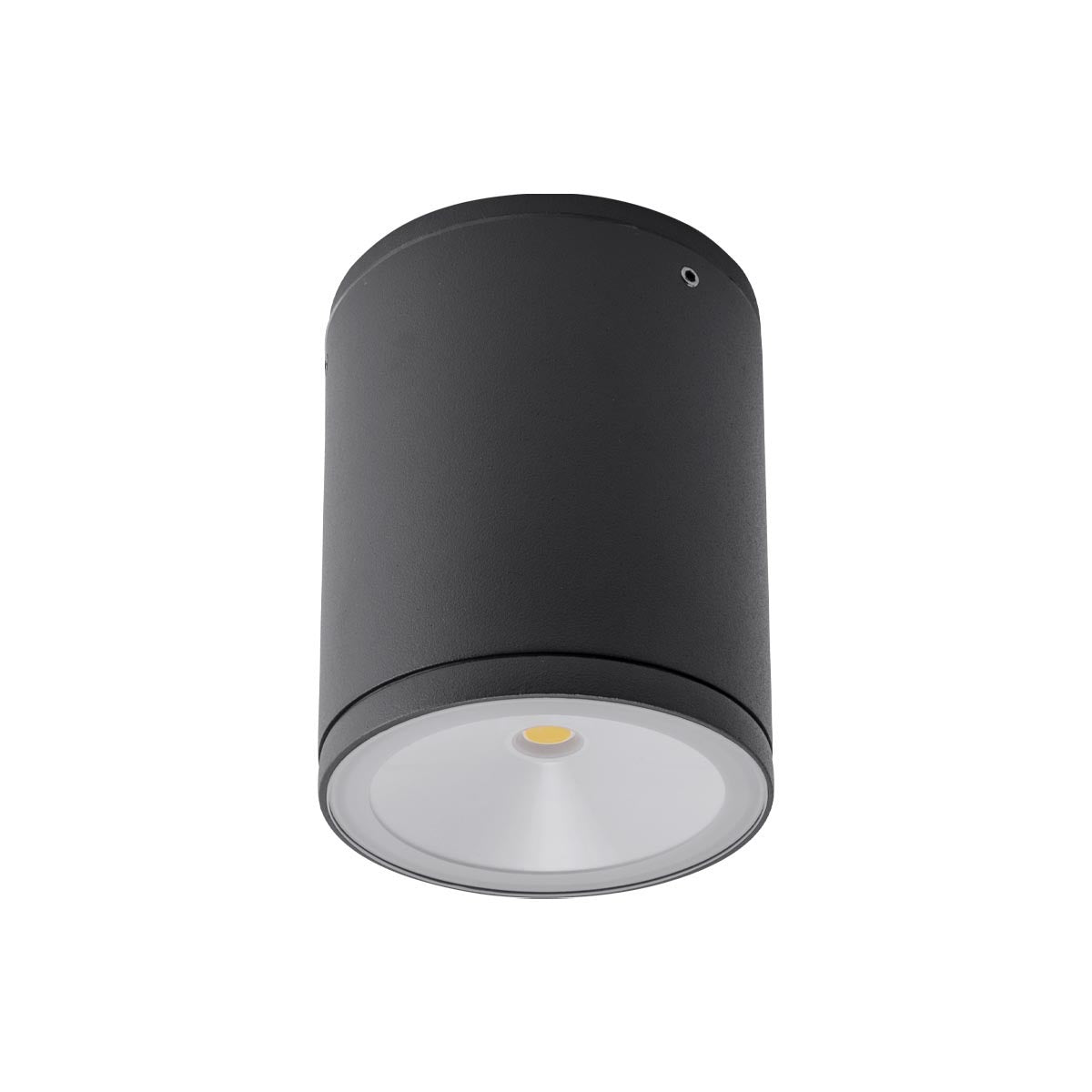 Plafoniera exterior LED Eta, gri, 706lm, 4000K, IP54, Redo, 9599
