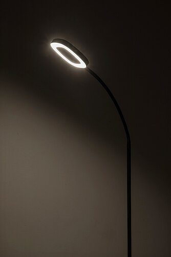 Lampadar Rader, negru, 570lm, LED 11W, 3000K, Rabalux 74004