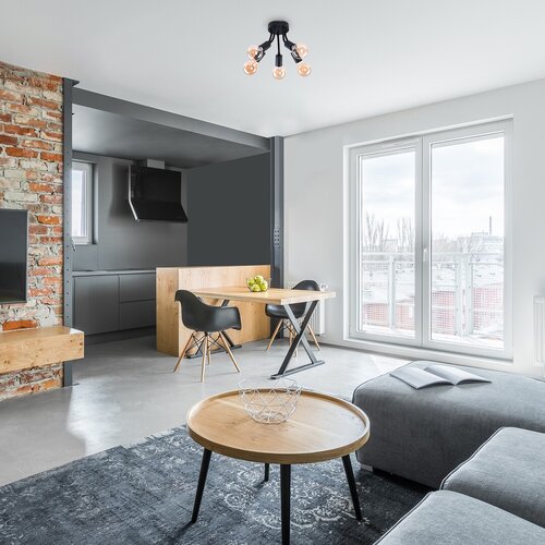 Plafoniera Almus, negru, 5xE27, IP20, Rabalux, 6809