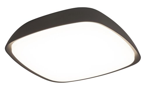 Plafoniera LED exterior Austin, antracit, 20W, 2000lm, 4000K, D.25cm, IP65, Rabalux, 8797