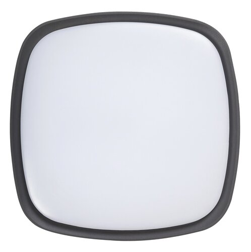 Plafoniera LED exterior Austin, antracit, 20W, 2000lm, 4000K, D.25cm, IP65, Rabalux, 8797