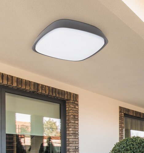 Plafoniera LED exterior Austin, antracit, 20W, 2000lm, 4000K, D.25cm, IP65, Rabalux, 8797