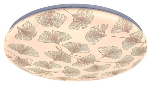 Plafoniera LED Benita, cu model alb, 24W, 1200lm, 3000K, IP20, Rabalux, 3076