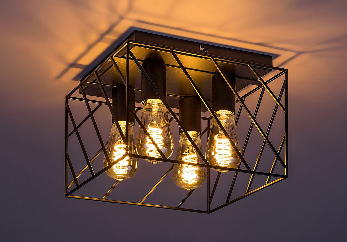 Plafoniera Boroo, negru mat, 4xE27, IP20, Rabalux, 71027