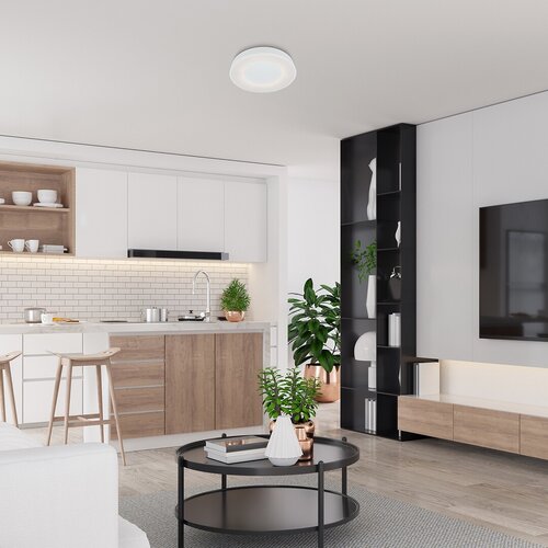 Plafoniera LED Ceilo, alb, 38W, 3200lm, 3000-6500K, IP20, Rabalux, 3083