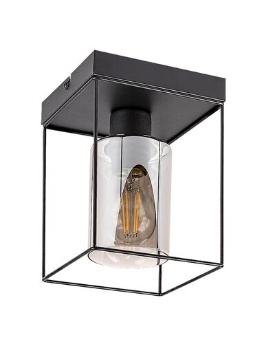 Plafoniera Chadwick, negru, 1xE27, IP20, Rabalux, 71031