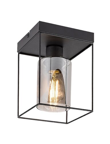 Plafoniera Chadwick, negru, 1xE27, IP20, Rabalux, 71031