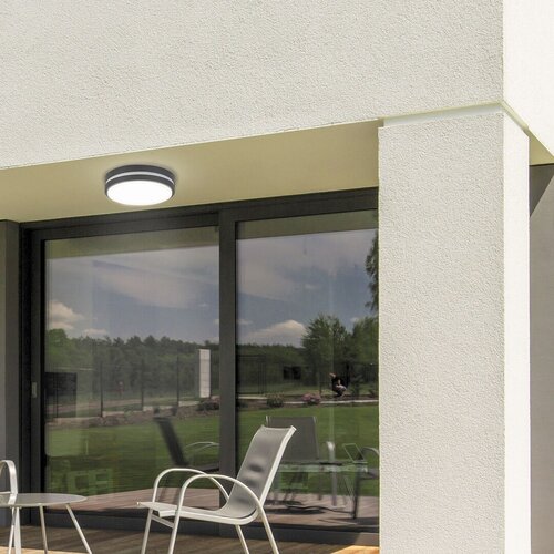 Plafoniera LED exterior Hamburg, antracit, 12W, 900lm, 4000K, D.28cm, IP44, Rabalux, 8848