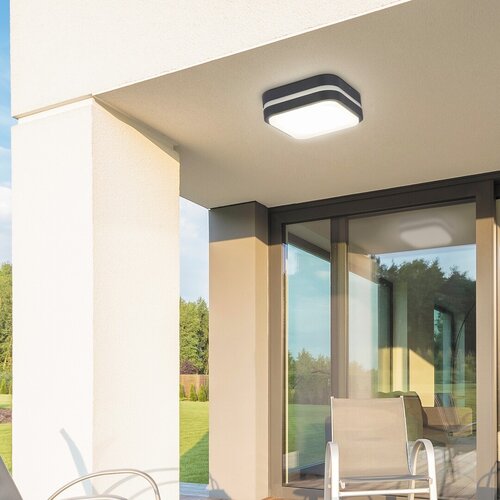Plafoniera LED exterior Hamburg, antracit, 12W, 900lm, 4000K, D.28,5cm, IP44, Rabalux, 8850