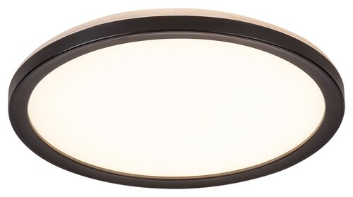Plafoniera LED exterior Inverness, negru, 15W, 1300lm, 2700K-6500K, WIFI, D.28cm, IP44, Rabalux, 7774