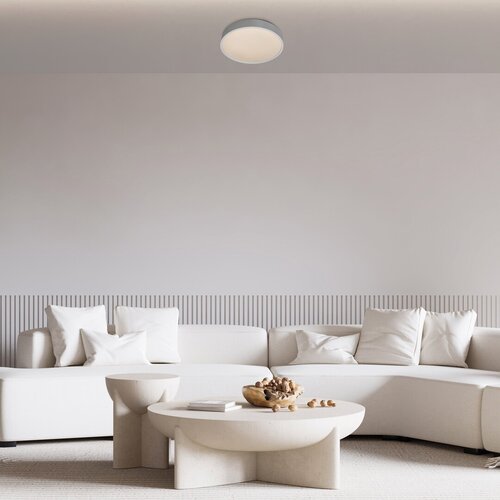 Plafoniera LED Larcia, argintiu, 18W, 1060lm, 4000K, IP44, Rabalux, 75010