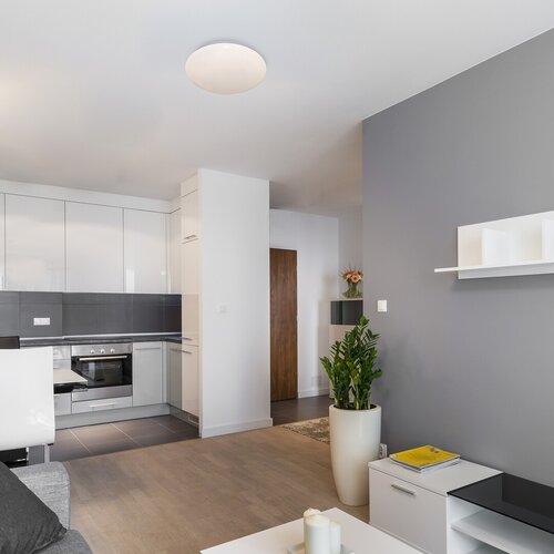 Plafoniera LED Lucas, alb, 18W, 1180lm, 4000K, IP20, Rabalux, 71133