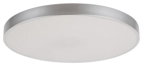 Plafoniera LED Tesia, argintiu, 60W, 5000lm, 3000-6000K, IP20, Rabalux, 3317