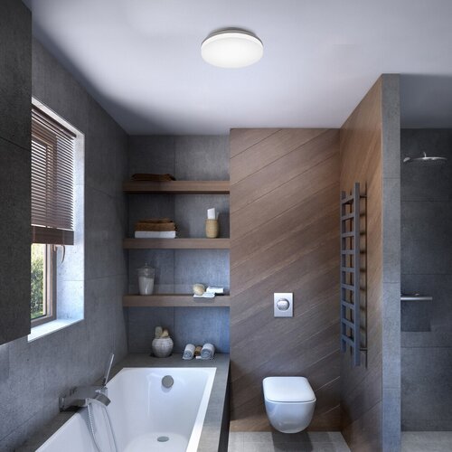 Plafoniera LED exterior Zenon, alb, 24W, 2400lm, 3000K,4000K,6000K, D.28cm, IP54, Rabalux, 2698