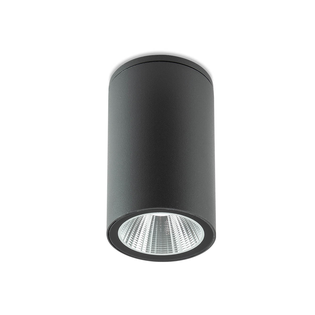 Plafoniera exterior LED Ram, gri, 3W, 360lm, 3000K, IP65, Redo, 90082