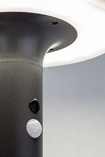 Aplica LED exterior solara cu senzor Alaska, antracit, 10W, 250lm, 4000K, IP44, Rabalux, 77017