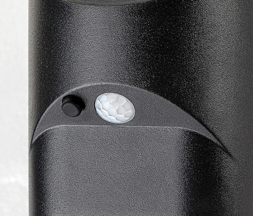 Aplica LED exterior solara cu senzor Sepik, negru, 3.6W, 150lm, 4000K, IP44, Rabalux, 77013