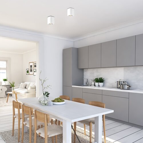 Plafoniera Kobald, alb mat, 1xGU10, IP20, Rabalux, 2050