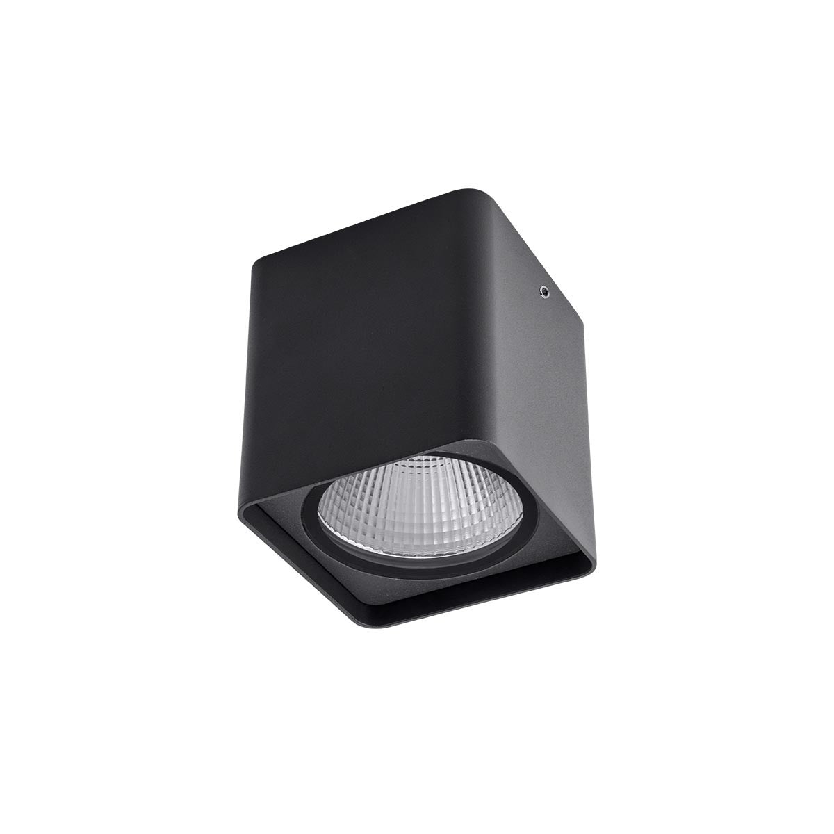 Plafoniera exterior LED Xia, gri, 20W, 2226lm, 4000K, IP54, Redo, 90032