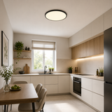 Plafoniera LED Memo , negru, 24W, 2300lm, 3000K/4000K/6500K, D.42cm, IP20, Smarter, 05-1007
