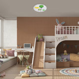 Plafoniera pentru copii Froggo, alb, LED 24W, 1440lm, 3000K, D.37.5,IP20, Rabalux, 71069