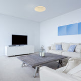 Plafoniera LED Trevor 2, alb, 24W, 1800lm, 3000K, IP20, Rabalux, 71183