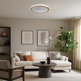 Plafoniera LED cu telecomanda Efrael, auriu mat, 24W, 1700lm, 3000K-6500K, D.40cm, IP20, Rabalux, 71281