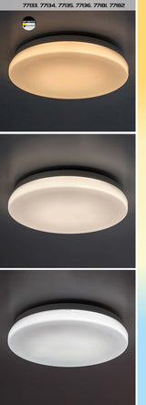 Plafoniera LED exterior Lowar, alb, 18W, 1100lm, 3000K, 4000K, 6000K, D.28.5cm, IP44, Rabalux, 77181