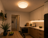 Plafoniera LED Emerald, alb cu efect de sclipire, 24W, 4000K, 2080lm, IP20, Smarter, 05-854