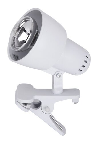 Veioza birou Clip, alb, 1xE14, Rabalux 4356